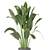Botanical Bliss: Indoor Plants Collection 3D model small image 4