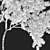 Black Locust Tree: Tall & Sturdy 3D model small image 5