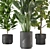 Indoor Jungle: 3D Plants Collection 3D model small image 1