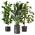 Indoor Jungle: 3D Plants Collection 3D model small image 5