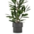 Lush Indoor Plants Collection - Set 220 3D model small image 2