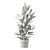 Lush Indoor Plants Collection - Set 220 3D model small image 5