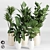 Tropical Indoor Plant Set 3D model small image 1