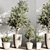 Versatile Indoor Plant Station 3D model small image 3