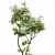 Hazel Spring Tree Collection 3D model small image 6