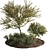 Evergreen Olive Tree: Beautiful and Healthy 3D model small image 2