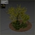 Evergreen Olive Tree: Beautiful and Healthy 3D model small image 6