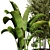 Indoor Plant Collection - 40 Varieties 3D model small image 5