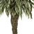 Palm Date Tree Set - Fluffy Bark 3D model small image 2