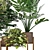 Green Haven Indoor Plant Set 3D model small image 2