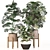 Green Haven Indoor Plant Set 3D model small image 6