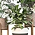 Green Haven Indoor Plant Set 3D model small image 8