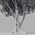 Olive Tree 7 - Stunning 12m Tall Decor 3D model small image 5