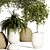 Urban Jungle Indoor Plant Collection 3D model small image 4