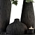 Green & Black Vase Set 3D model small image 3