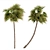 Exquisite 3-Tree Date Palm Set 3D model small image 2