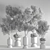 31-Piece Indoor Plant Set - Vray Render 3D model small image 7