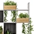 Natural Beauty: Wooden Pot Indoor Plants 3D model small image 6