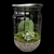 Exquisite Terrarium Plant Collection 3D model small image 1