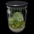 Exquisite Terrarium Plant Collection 3D model small image 3