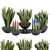 70 Sansevieria Plants Collection: High-Quality 3D Models! 3D model small image 1