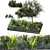 Outdoor Plant 09: VRAY Version 3D model small image 1