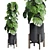 183 Plant Collection: Ficus Lyrata, Monstera, Palm - Perfect Indoor Greenery 3D model small image 3