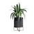 183 Plant Collection: Ficus Lyrata, Monstera, Palm - Perfect Indoor Greenery 3D model small image 5