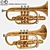 Gilded Subrano Brass Instrument 3D model small image 1