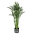 Indoor Palm Leaf - Collection Plant Vol 307 3D model small image 4