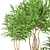 Indoor Plant Vol 35: Realistic 3D Model 3D model small image 2