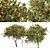Fruit Tree Assets: Orange & Apple 3D model small image 1