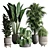 Indoor Plant Collection: Ficus, Monstera, Palm 3D model small image 1