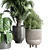 Indoor Plant Collection: Ficus, Monstera, Palm 3D model small image 5