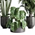 Indoor Plant Collection: Ficus, Monstera, Palm 3D model small image 6