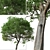 Evergreen Quercus Suber Tree 3D model small image 2