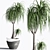 Indoor Plant Set: Green Oasis 3D model small image 4