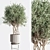 Title: Gorgeous 24-Piece Indoor Plant Set 3D model small image 8