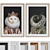 Cat Portrait Frame Set 3D model small image 1