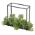 Green Oasis: Interior Plant Box Set 3D model small image 5