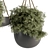 Hanging Plant Set with Rope 3D model small image 2
