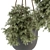 Hanging Plant Set with Rope 3D model small image 3