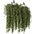 Elegant Hanging Greenery in Metal Box 3D model small image 1