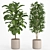 Lush Indoor Plant Set 016 3D model small image 2