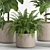 Lush Indoor Plant Set 016 3D model small image 6