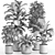 Lush Indoor Plant Set 016 3D model small image 9