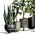 Indoor Plant Collection 43 3D model small image 3