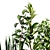 Indoor Plant Collection 43 3D model small image 4