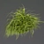 Grass Collection - High-Quality Outdoor Leaf Models 3D model small image 4