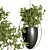Indoor Plant Collection: 48 Varieties 3D model small image 2